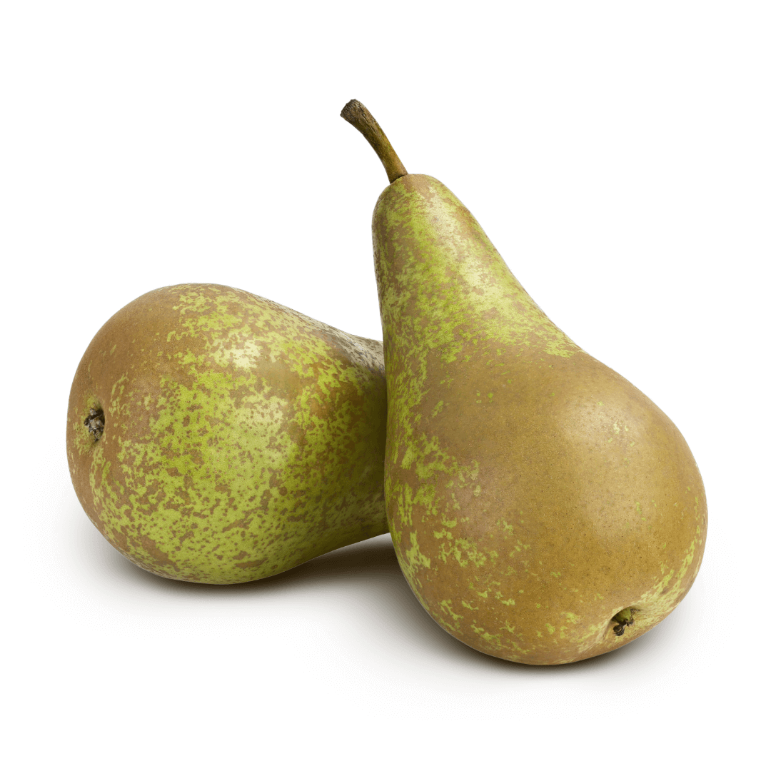 Gruszka konferencja. 11,90 zl/kg