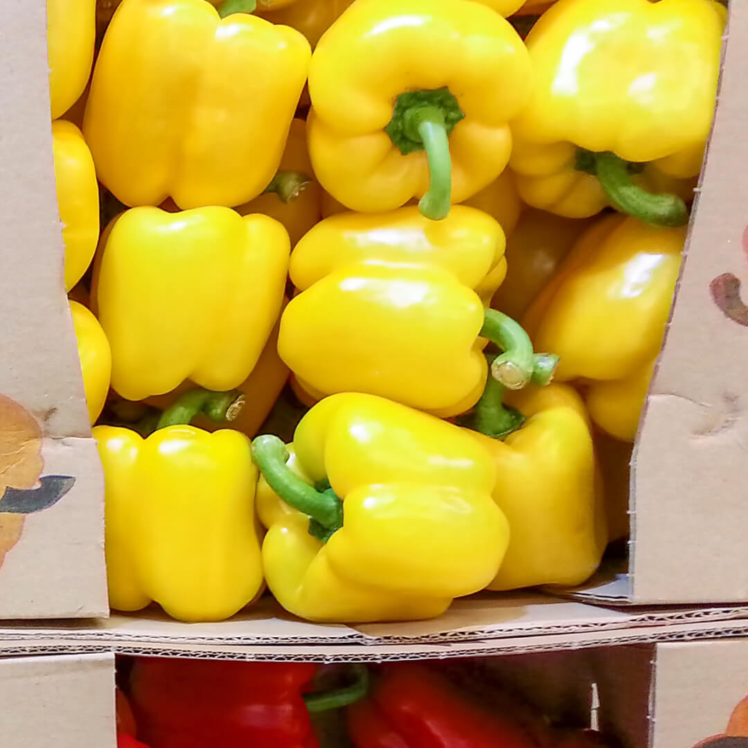 Papryka zolta - paczka. 10,40 zl/kg