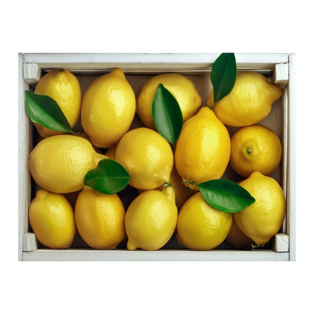 Cytryna - paczka 10kg. 14,40 zl/kg