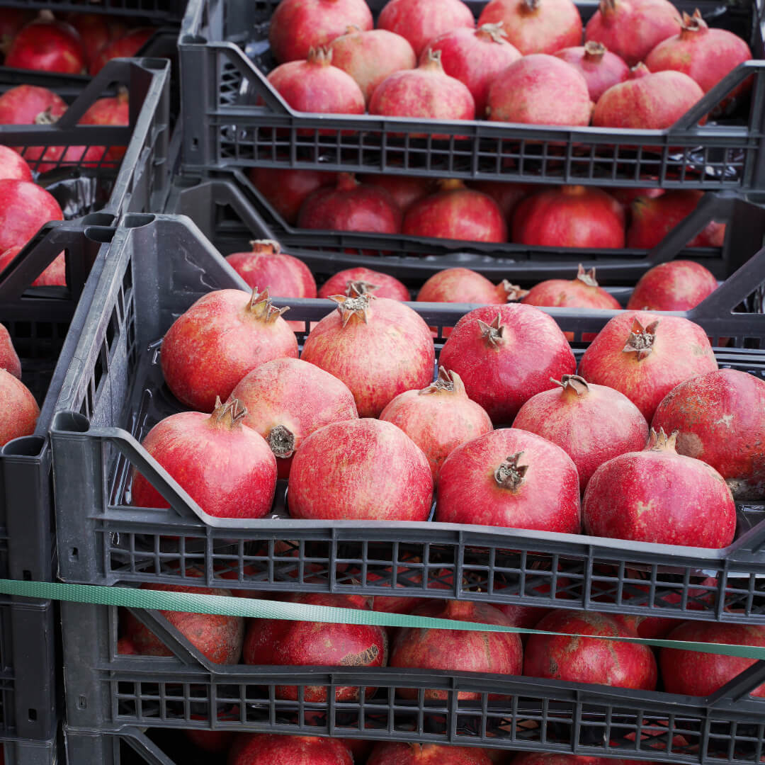 Granat - paczka. 15,80 zl/kg