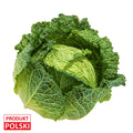 Kapusta wloska. 9,90 zl/szt.