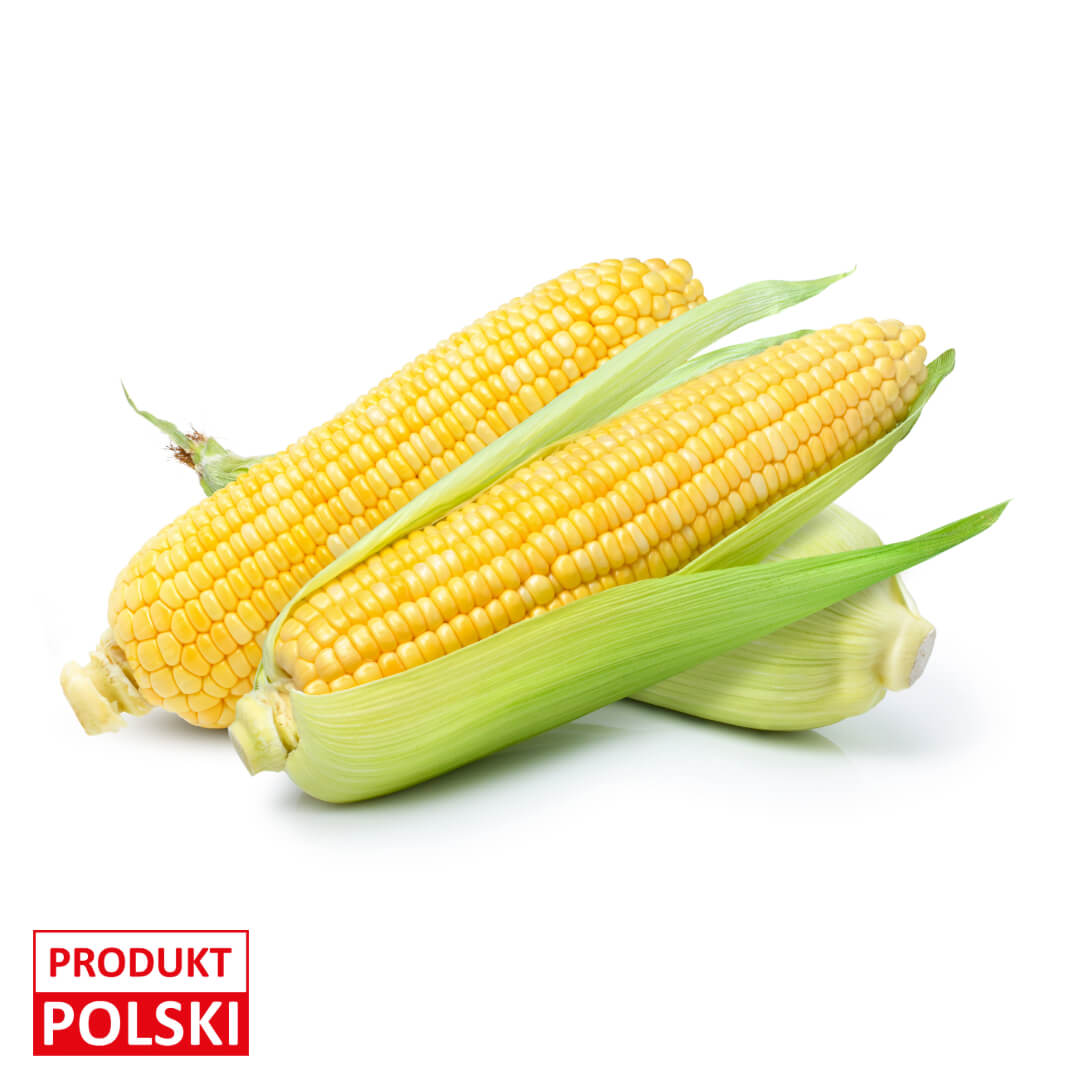 Kukurydza slodka. 4,40 zl/kolba