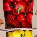 Papryka czerwona - paczka. 9,80 zl/kg
