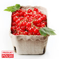 Porzeczka czerwona - opakowanie 250g. 6,90 zl/opak.