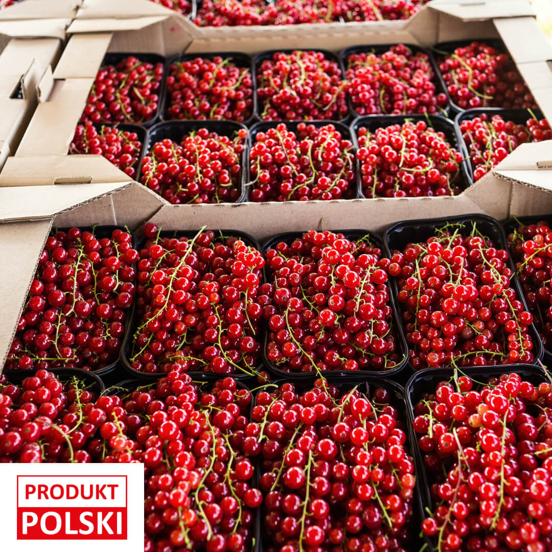 Porzeczka czerwona - paletka 10x500g. 19,90 zl/kg